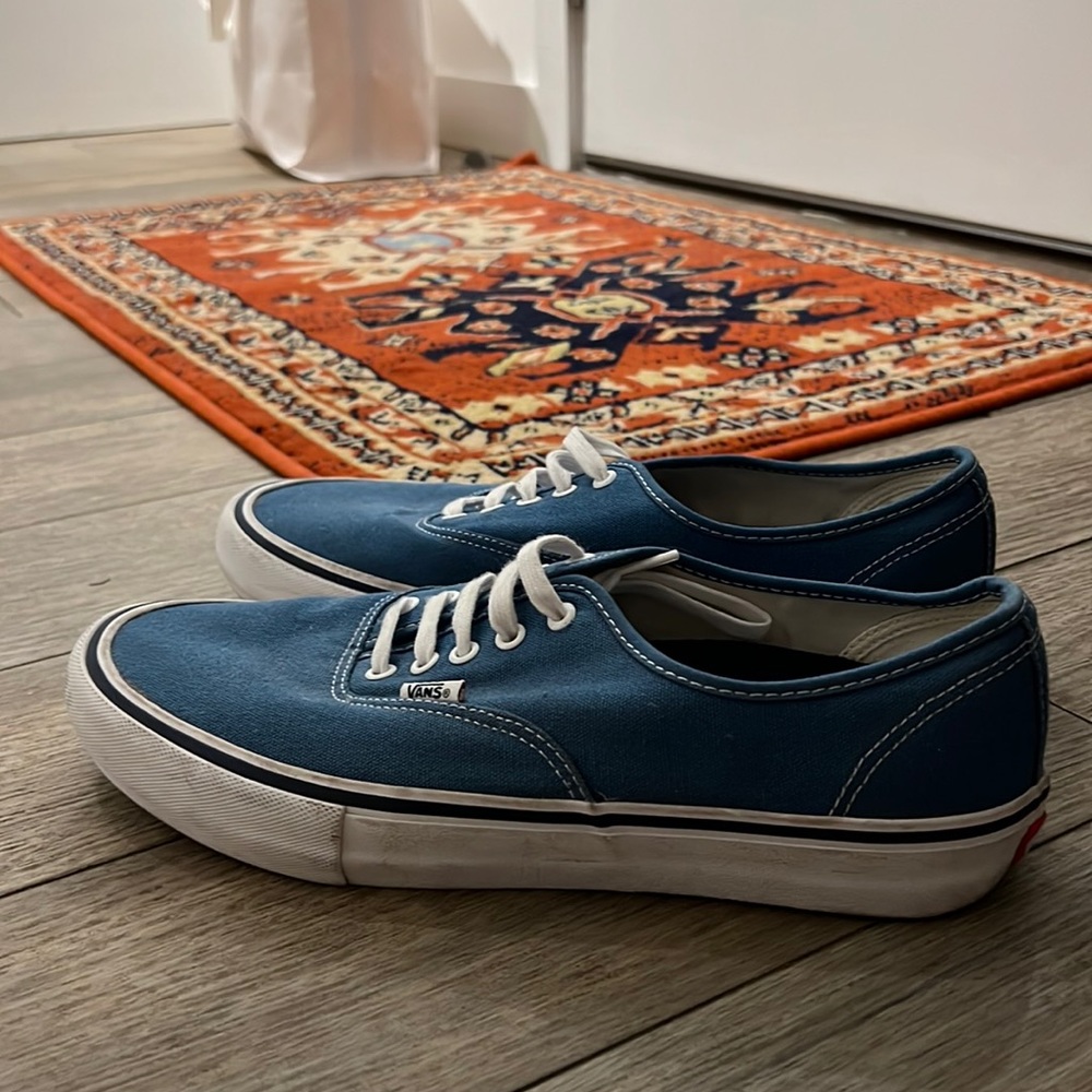 Almost New Vans Skate Sneaker Blue